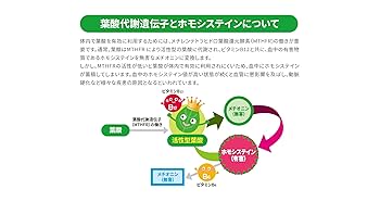 生活習慣病のリスク遺伝子検査(未開封) 生活習慣病のリスク遺伝子検査/DISEASES/ディジーズ/全16項目を